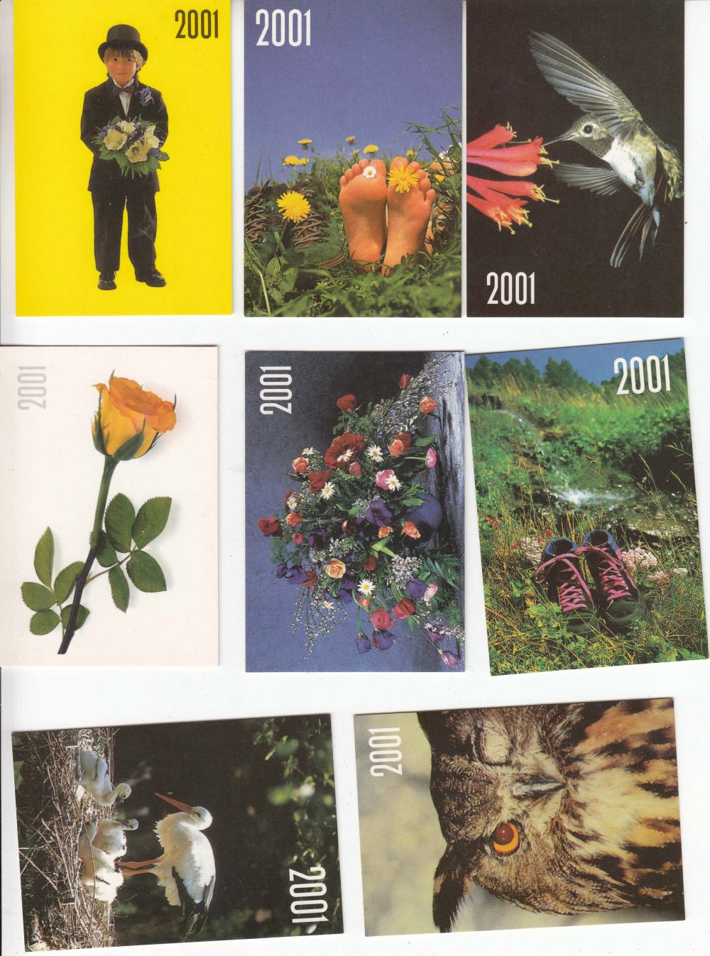 2001 - 02